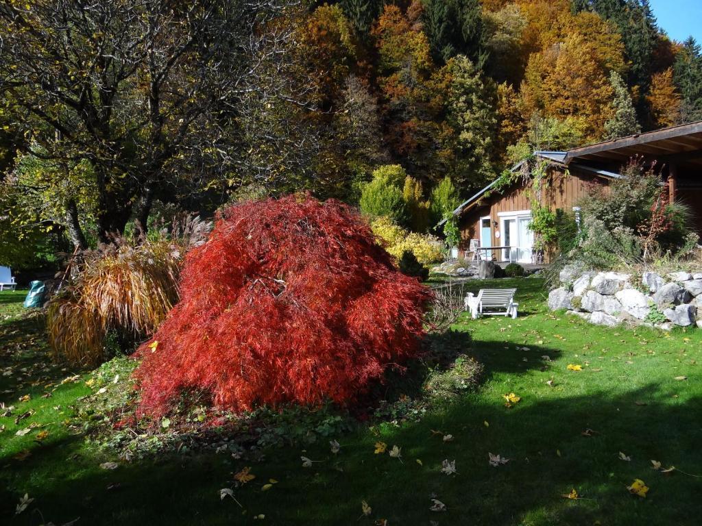 Gaestehaus Buehler โอเบอร์สทดอร์ฟ ห้อง รูปภาพ